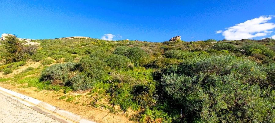 0 Bedroom Property for Sale in St Helena Views Western Cape